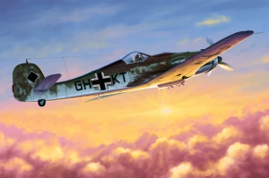 HobbyBoss 81717 1/48 Fw190D-10