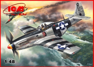 ICM 48154 1/48 P-51K Mustang