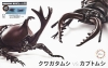 Fujimi 025(17086) Japanese Rhinoceros Beetle vs Stag Beetle