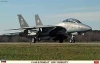 Hasegawa 09971 1/48 F-14B/D Tomcat "Low Visibility"